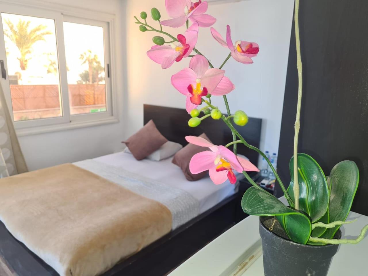 הורגהדה Lilly Rooms And Studio מראה חיצוני תמונה
