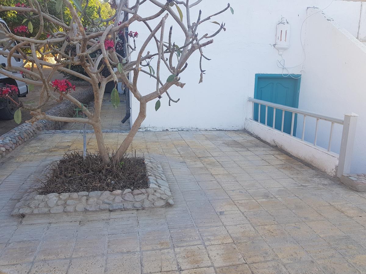 הורגהדה Lilly Rooms And Studio מראה חיצוני תמונה